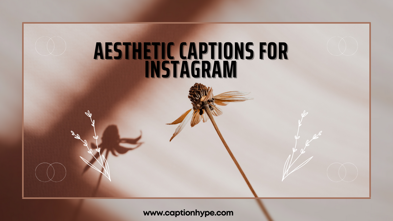 350+ Best Aesthetic Captions for Instagram (2026 Ultimate Curation Guide)